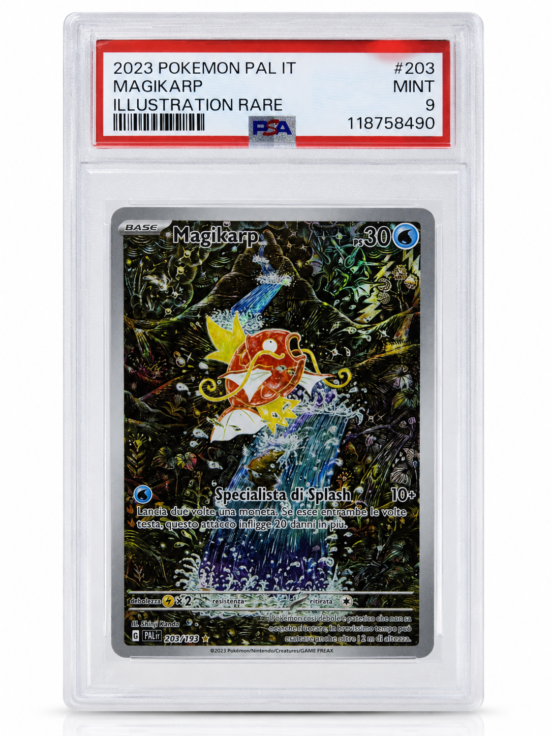 Pokémon Magikarp 203/193 – Illustration Rare – Paldea Evolved – PSA 9 MINT – ITA